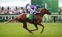 Who’ll win at York Races? Tips for the Ebor Festival 2016, Day 4