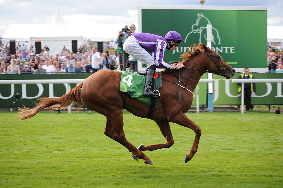 Who’ll win at York Races? Tips for the Ebor Festival 2016, Day 4