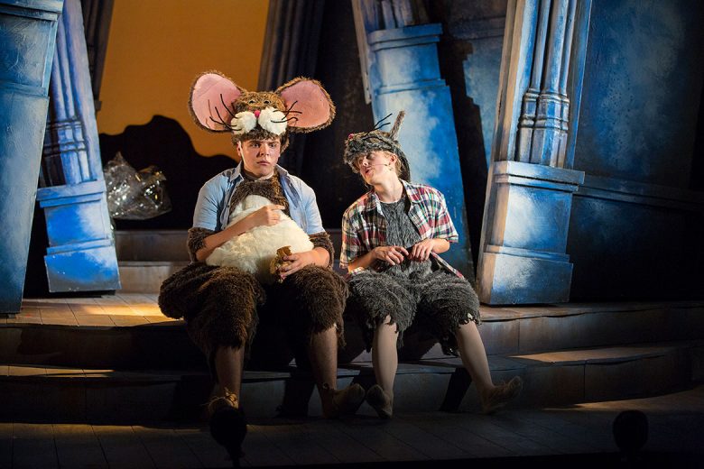 Under the witches' spell, Bruno and Boy mouse