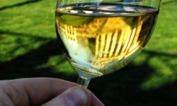 Tipping's Tipples: Five fabulous wines with a hint of flint