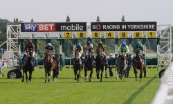 Who’ll win at York Races? Tips for the Family Raceday 2016