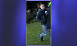 Man racially abused staff in York Museum Gardens