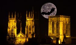 Halloween 2016: 20 scarily good parties, gigs and movies to try this weekend in York
