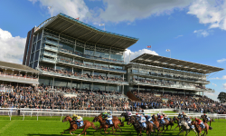 Who’ll win at York Races? Tips for the October meeting 2016 – Day 2
