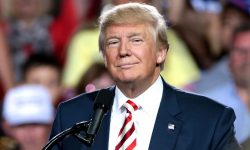 Stop the search: We’ve found York’s best response to the Trump presidency