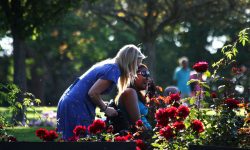 Thousands of York carers may be missing out on vital support. Are you one of them?