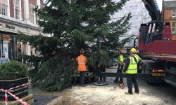 Three arrivals in York that say ‘Christmas is coming…’