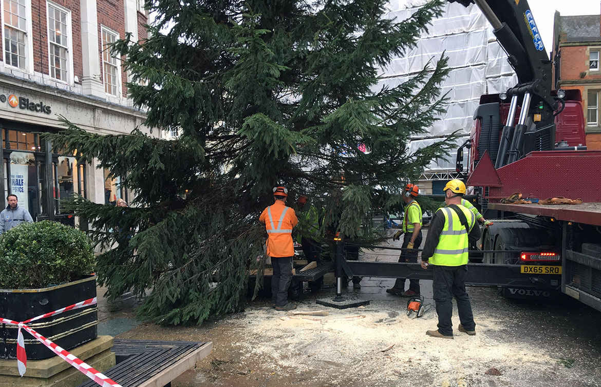 Three arrivals in York that say ‘Christmas is coming…’