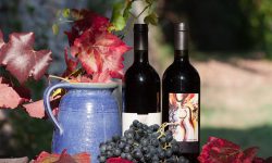 Tipping’s Tipples: Ripe reds for dark nights