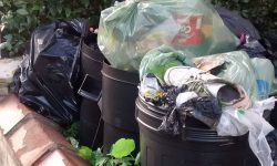 She filled her garden with overflowing rubbish bins. Now she must pay £700