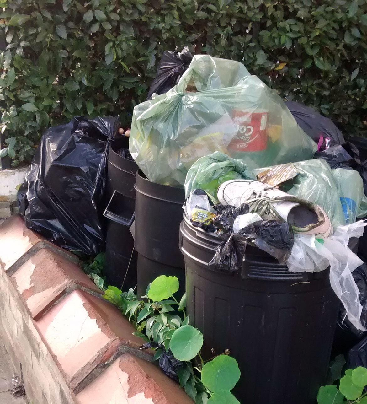 She filled her garden with overflowing rubbish bins. Now she must pay £700
