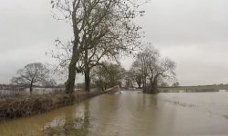 Watch: Police video shows shocking scene after school bus drove into the floods – as driver is jailed
