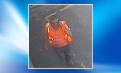 Lead worth £500 stolen from York business – police issue CCTV