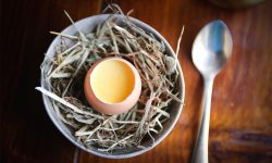 North Yorkshire named as Britain’s best county for dining out – and these are its top restaurants