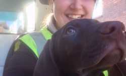 Found: kittens, puppies and even a little girl… The amazing discoveries of the St Nicks recycling team