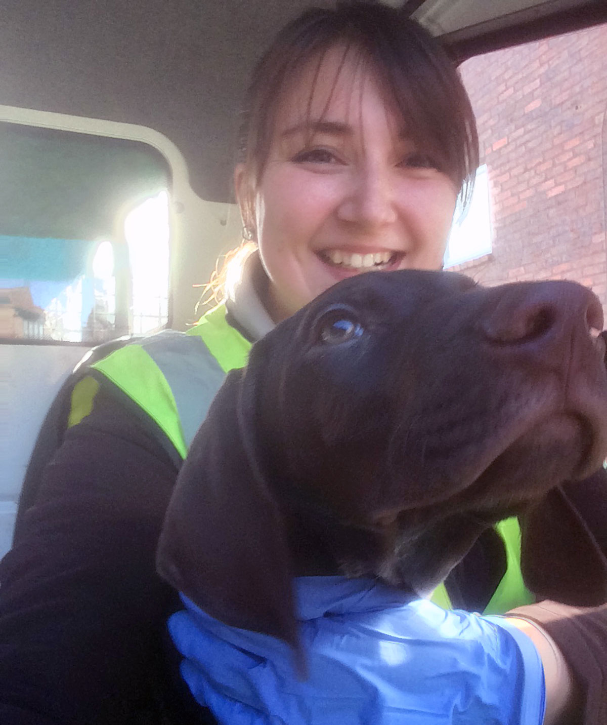 Found: kittens, puppies and even a little girl… The amazing discoveries of the St Nicks recycling team
