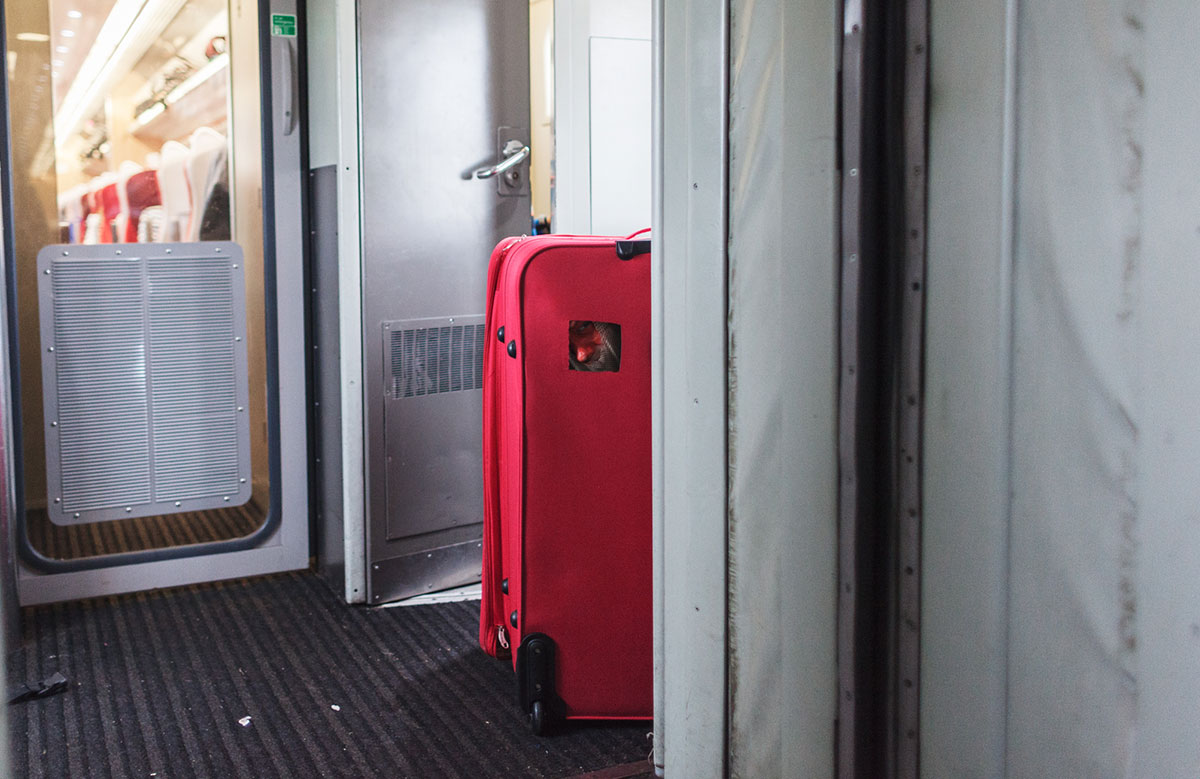 ‘Rail hacker’ hides in a suitcase for the entire two-hour train journey to York