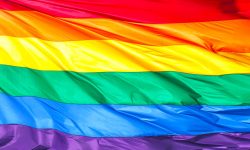 Nudes, landscapes and lip-syncing: A unique night out for York's LGBT History Month