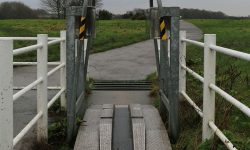 Hob Moor attack on a man and his dog – Police release update