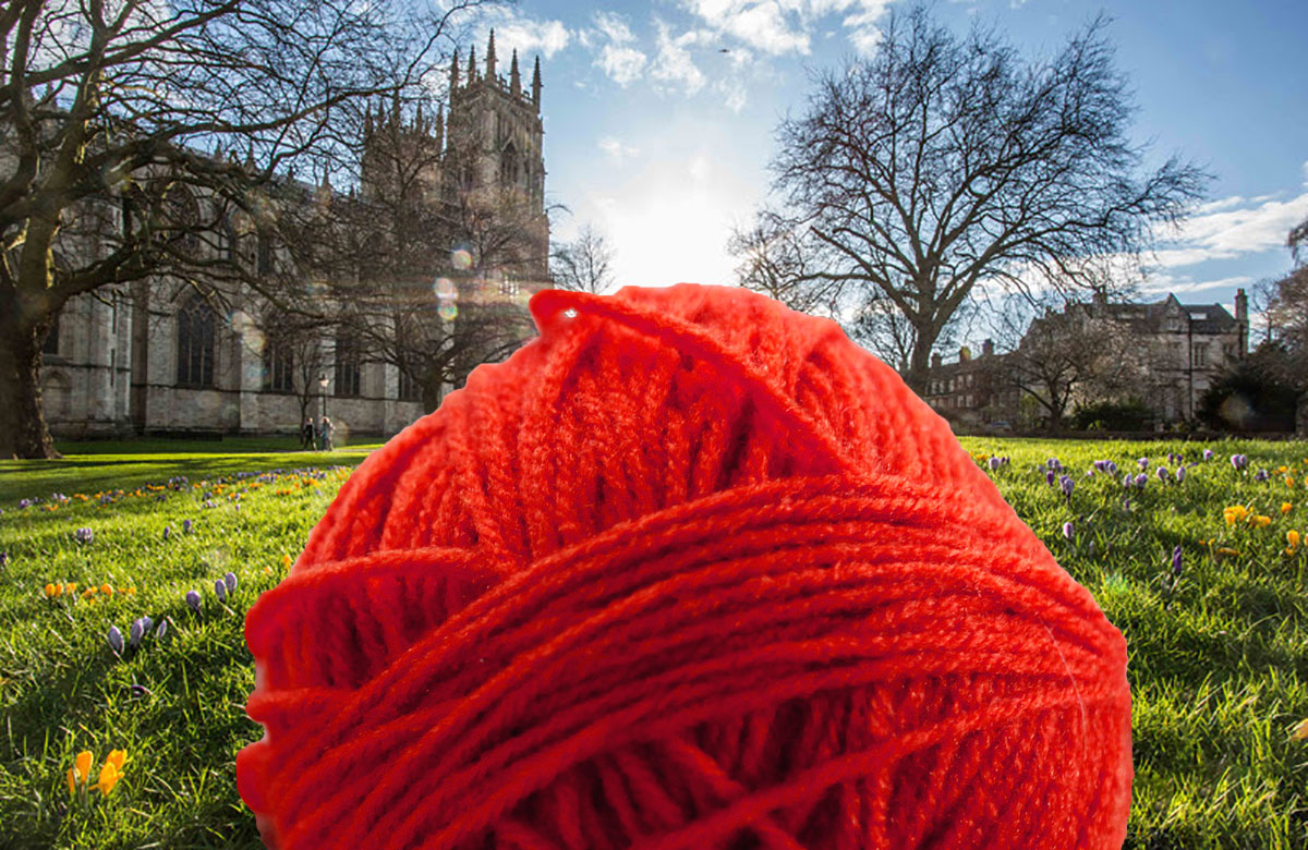 Wool I never! York Minster in yarn bomb plot
