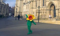 York folk go daffy for Marie Curie