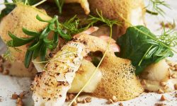 Rising foodie star from York makes it into Young Chef of the Year final