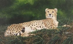 The art to see in York right now - March 2017