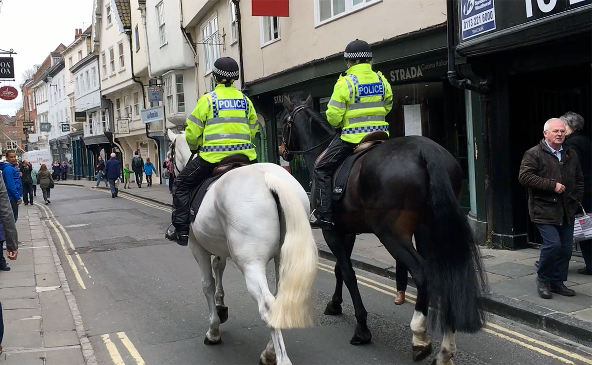 Baby girl’s lucky escape after police horse kicks pushchair