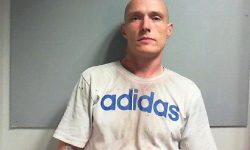 Wanted man found