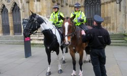 Campaign to disrupt criminals and deter terrorists brings police out in force