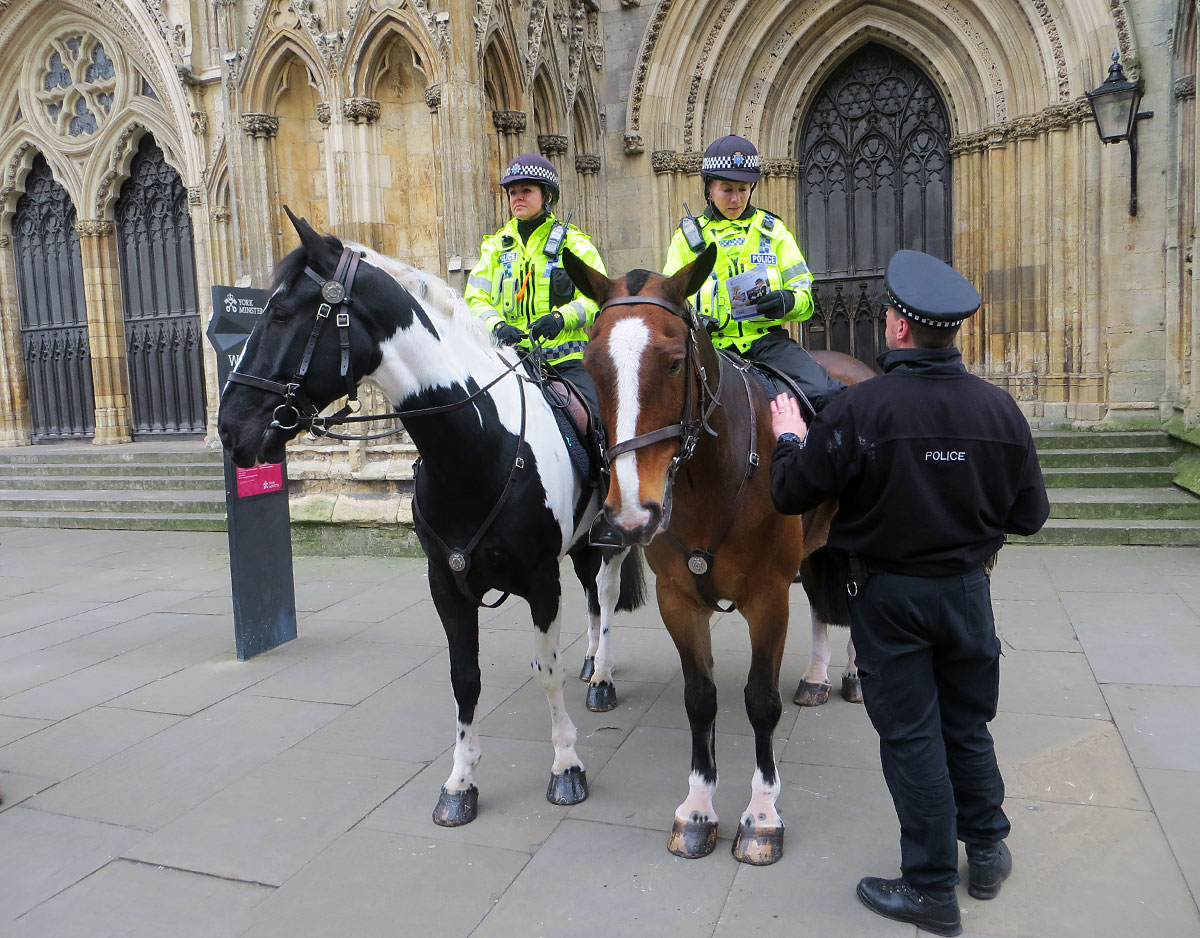 Campaign to disrupt criminals and deter terrorists brings police out in force