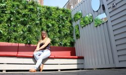 Pictures: York pub’s hidden roof terrace gets a colourful makeover in time for summer