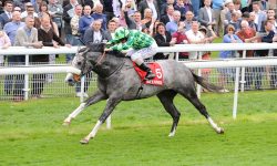 Who’ll win at York Races? Tips for the Dante Festival, day 3