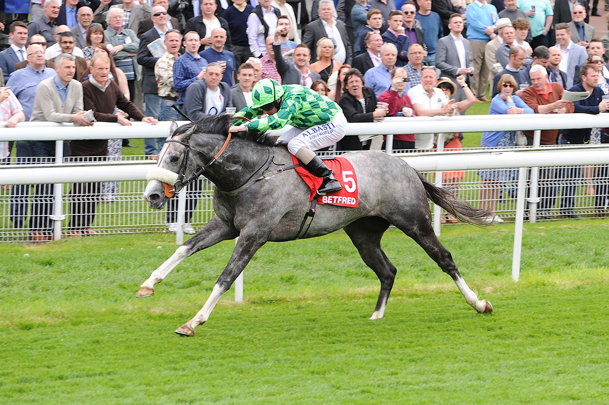 Who’ll win at York Races? Tips for the Dante Festival, day 3