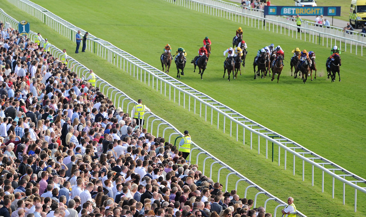 Who’ll win at York Races? Tips for the June meeting, day 2