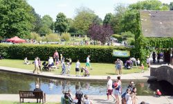 Two days left to save the Rowntree Park Birthday Party