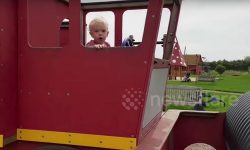 Video: Hilarious moment a toddler copies his dad’s sweary road rage in York park
