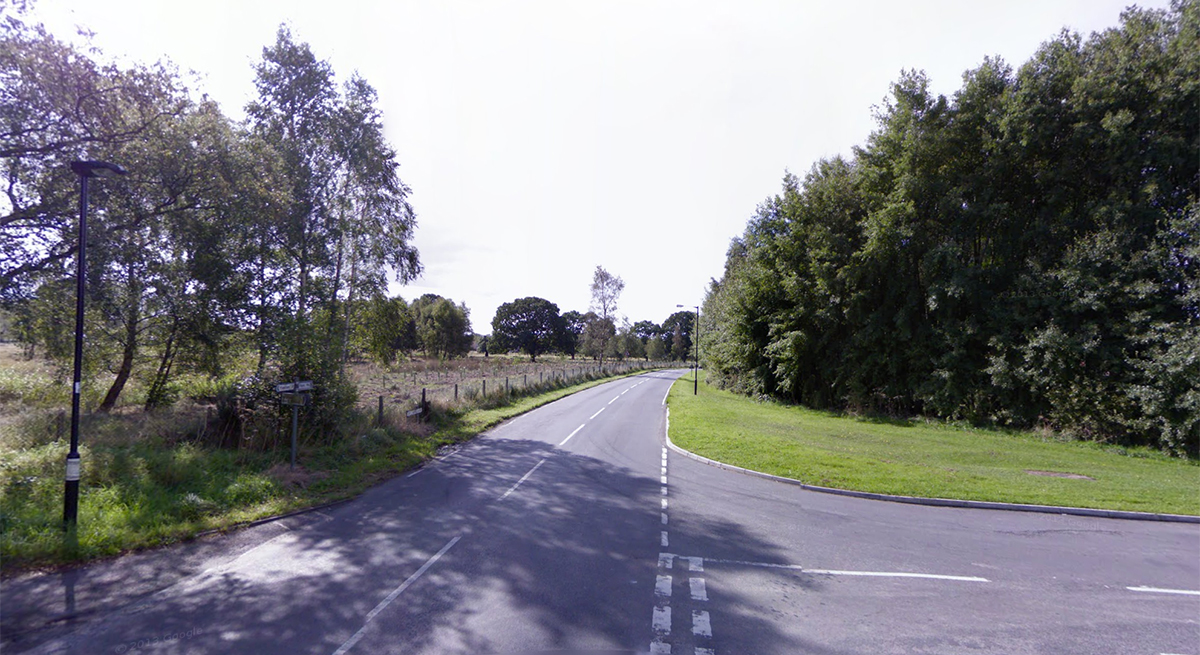 Two people seriously injured after car crashes into tree