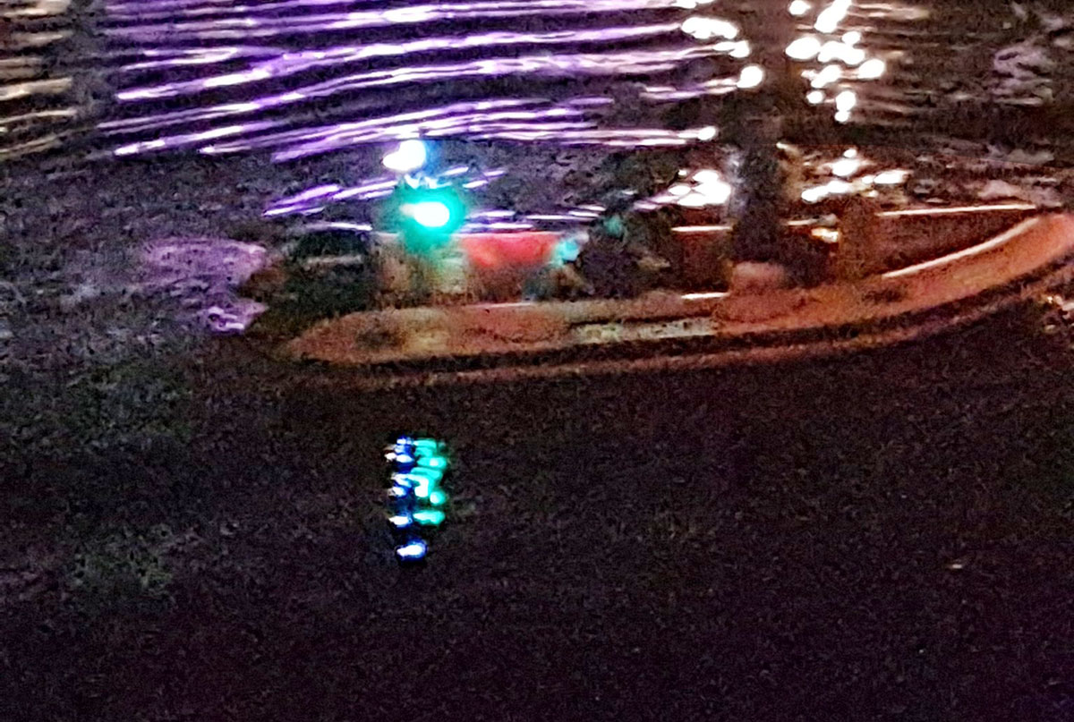 York river rescue saves woman from drowning