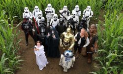 Maze the force be with you: York Maze launches Star Wars spectacular