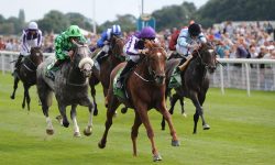 Who’ll win at York Races? Tips for the Summer Music Saturday 2017