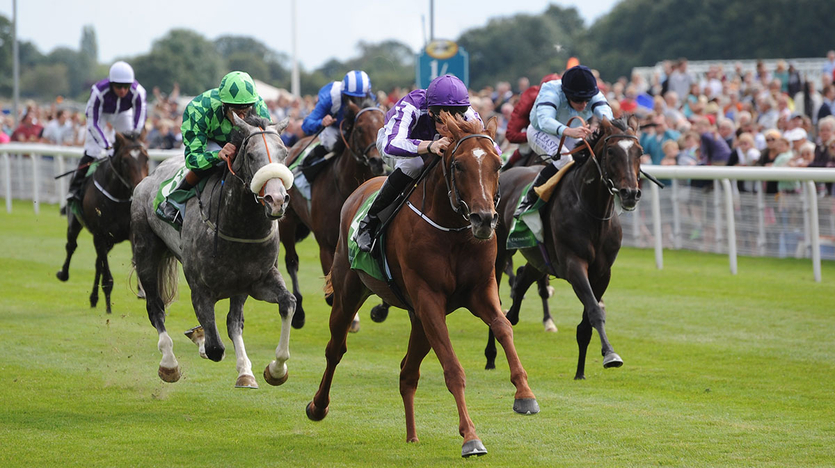 Who’ll win at York Races? Tips for the Summer Music Saturday 2017
