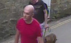 Boy, 11, needs plastic surgery to facial injuries after dog attack