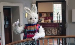 A giant white rabbit was wandering round York today. Here’s why