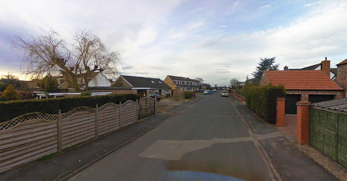 Three people get stuck up a tree in York – and are rescued by the fire brigade