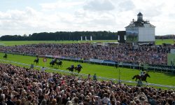 Who’ll win at York Races? Tips for the Ebor Festival 2017, Day 4