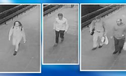 These four people could be vital witnesses in York sex assault case