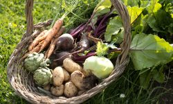 Get your five a day at Beningbrough in September
