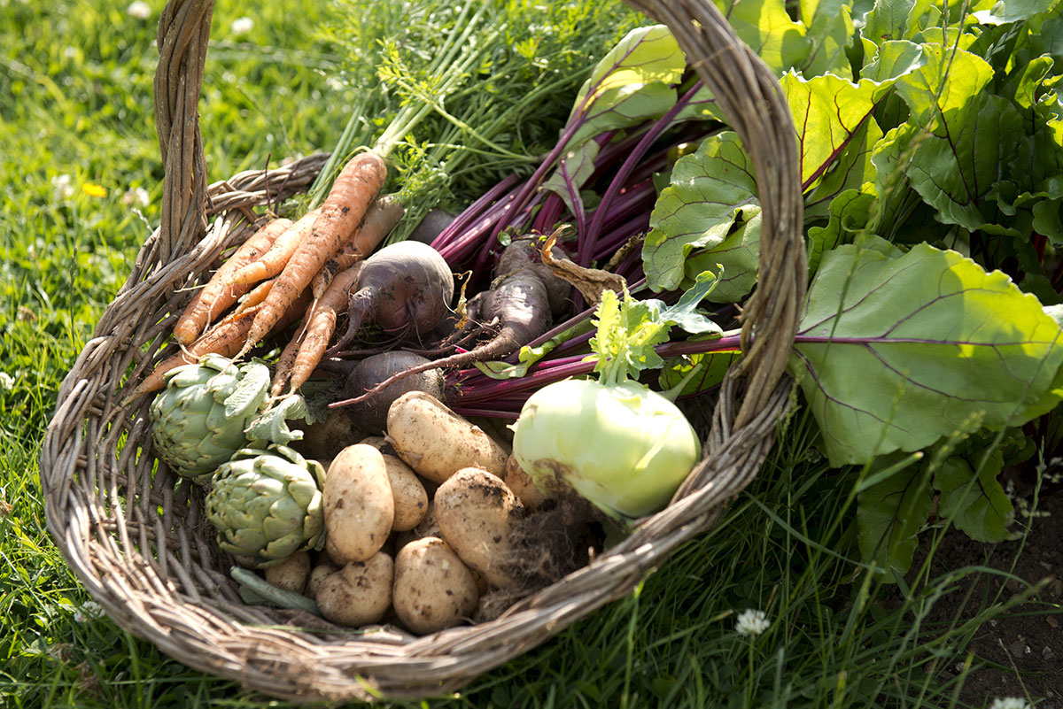 Get your five a day at Beningbrough in September