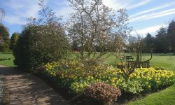 Police instruct people to leave York park before it is closed over social distancing concerns